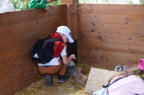Výlet